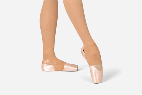 stirrup dance tights
